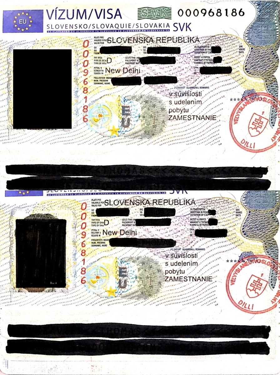 Thomas - EU work permit success